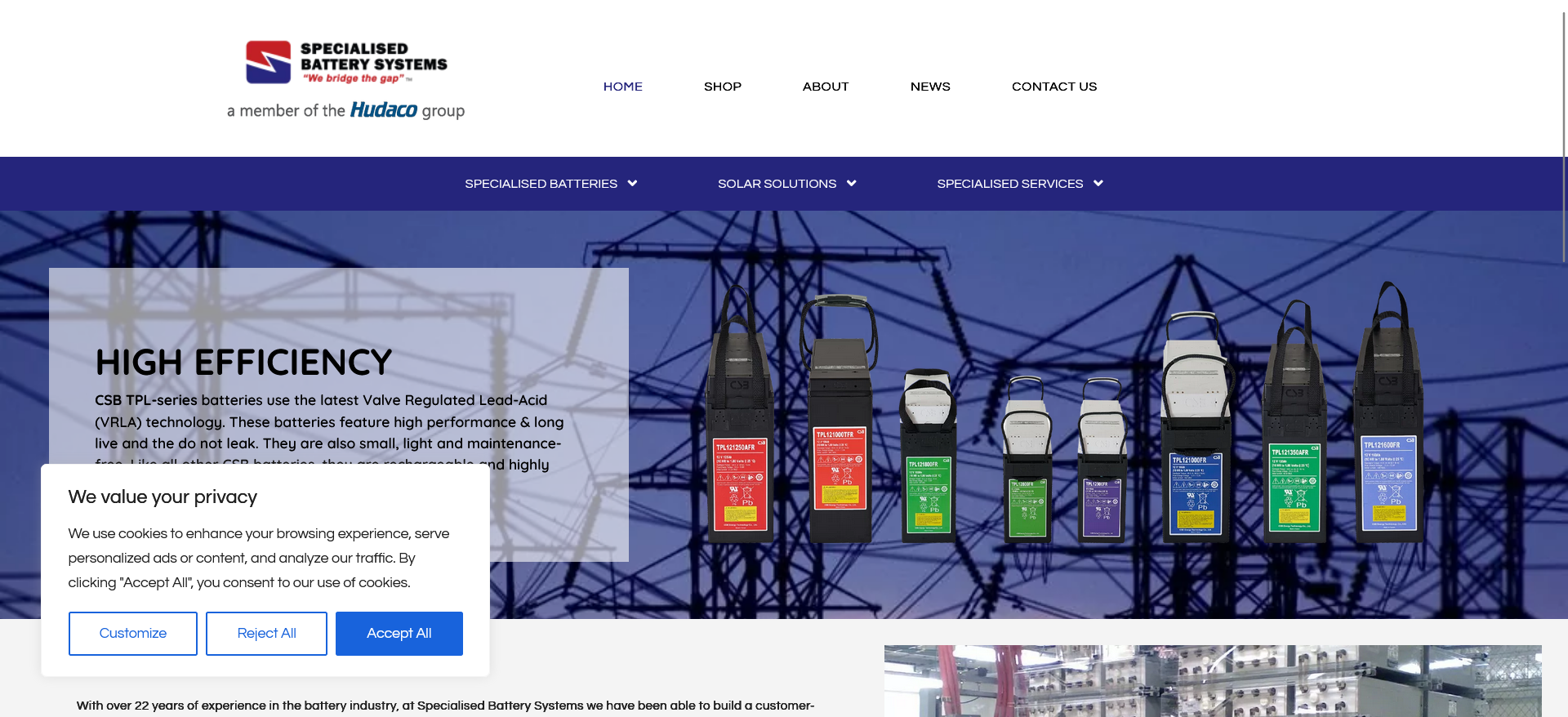 Screenshot 2023-08-01 at 09-29-28 Home - SPECIALISED BATTERY SYSTEMS